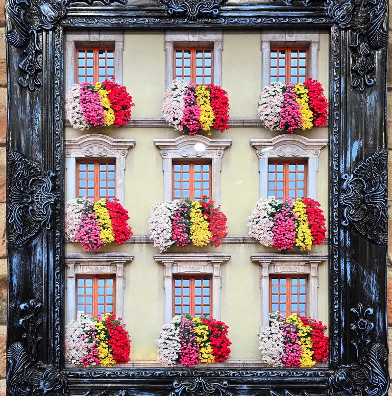 Joseph Walton Photography-新奥尔良必去景点