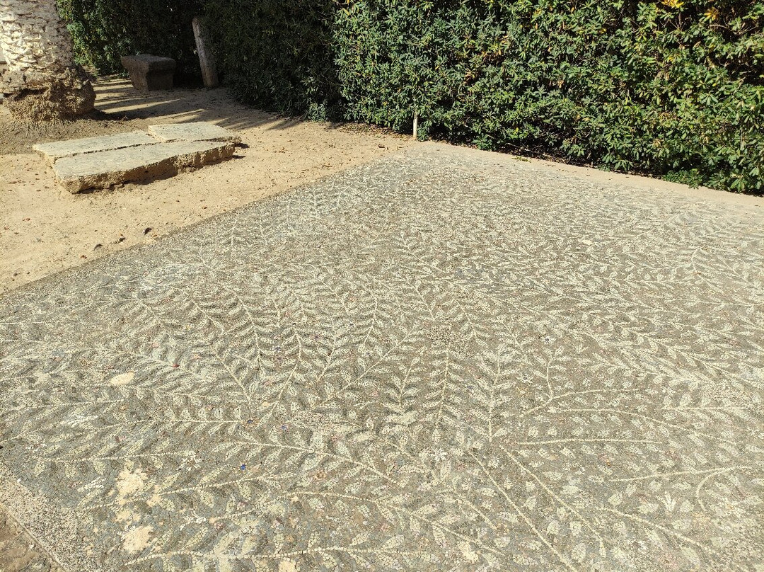 Musee Public National de Cherchell-Cherchell必去景点