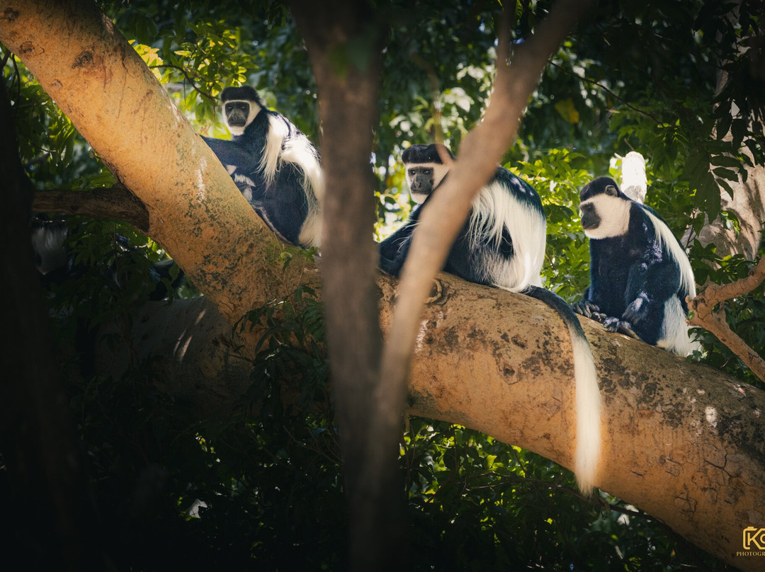 Maze National Park-Southern Nations, Nationalities, and People's Region必去景点