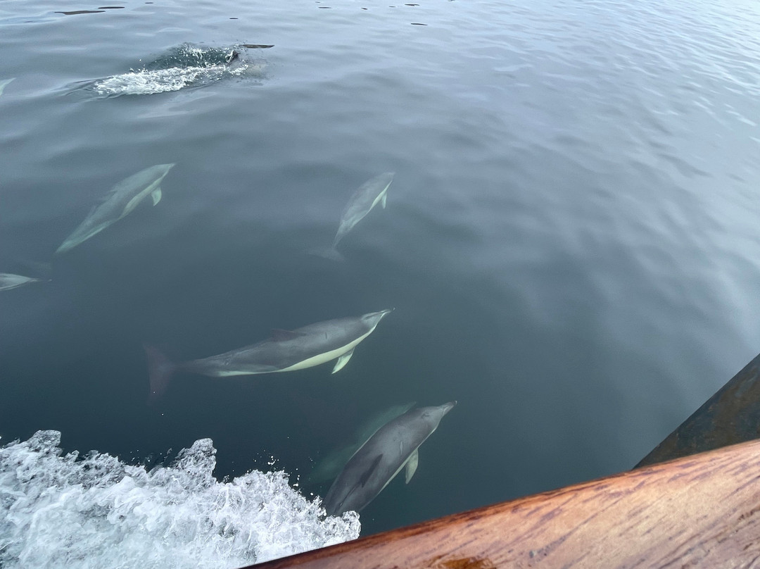 Red Moon Cruises-Kyle of Lochalsh必去景点