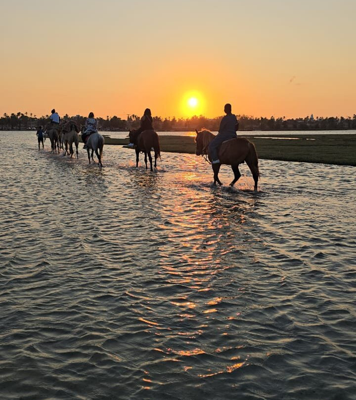 Nour Equestre Djerba-Djerba Midun必去景点
