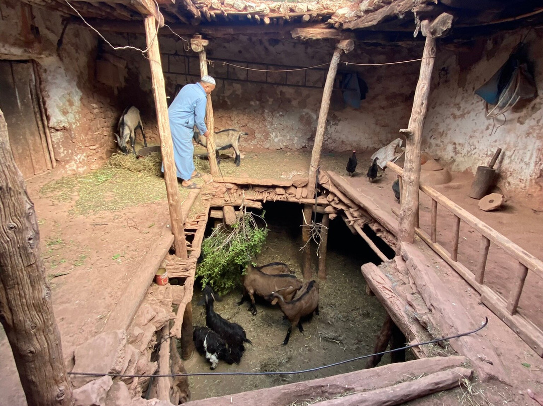 Doda Surf Morocco-Tamraght必去景点
