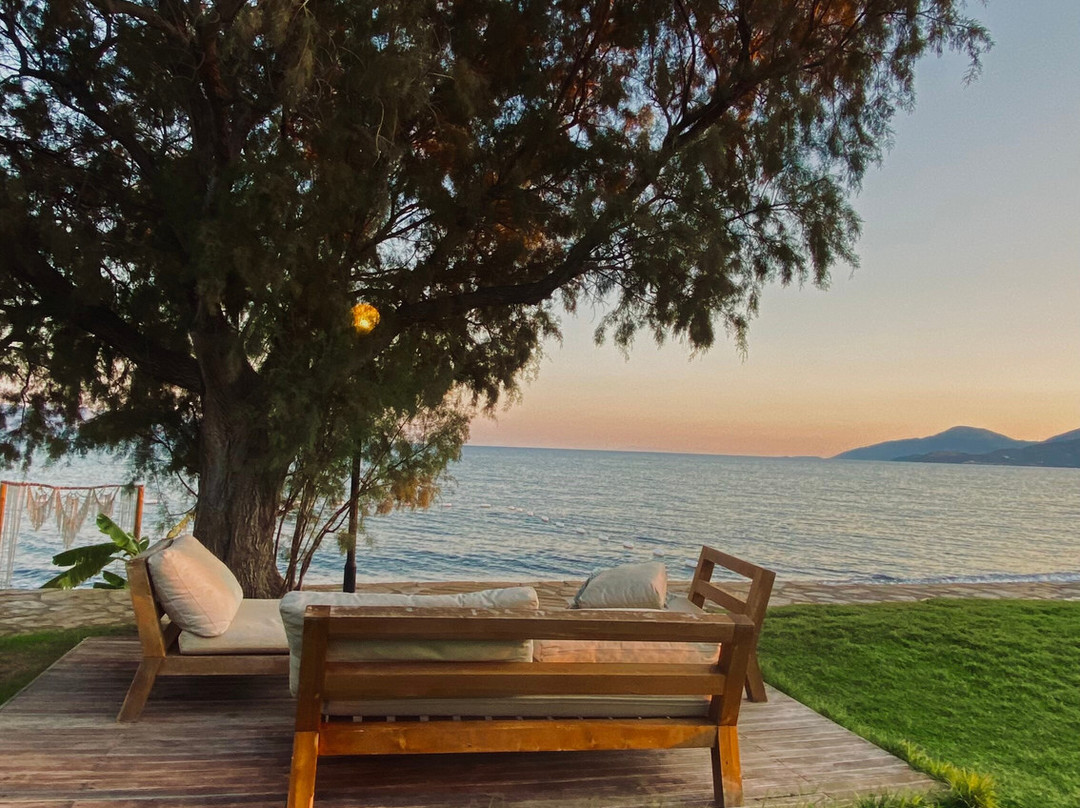 Dirik Surf & Beach Club Hotel主图
