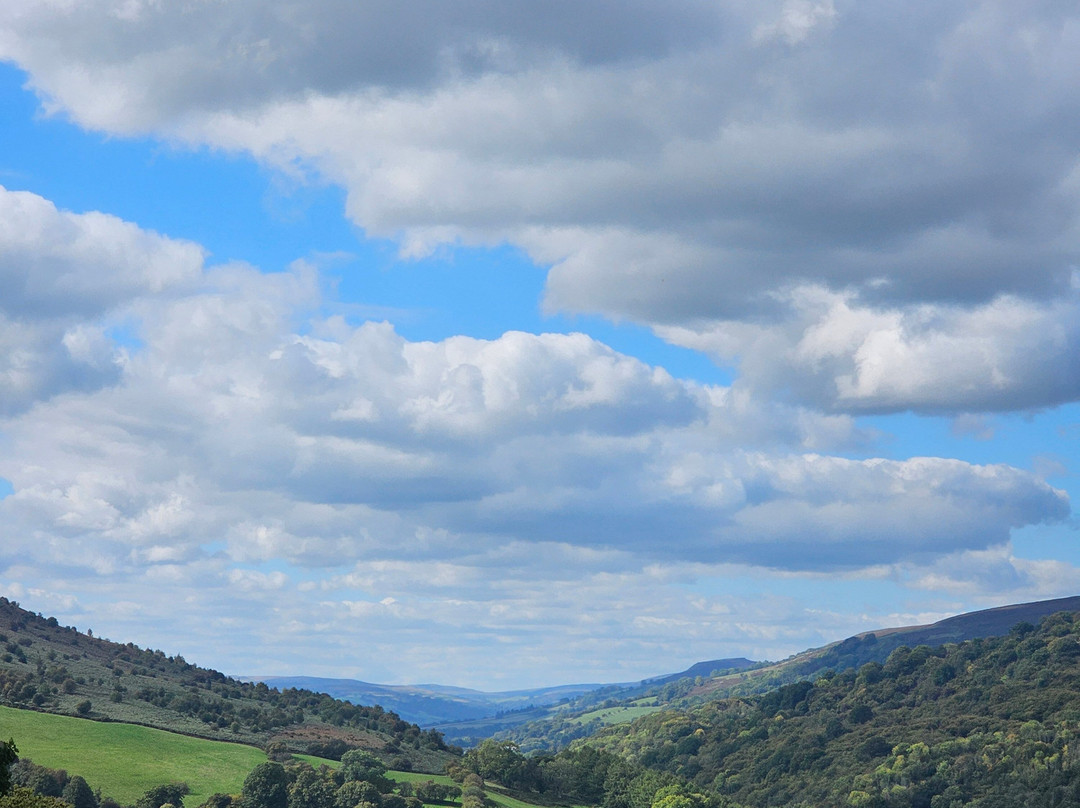 Dirt Farm-阿伯加文尼必去景点