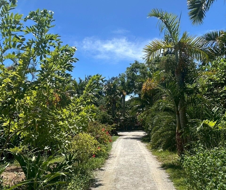 Manta no Hama-竹富町由布岛必去景点