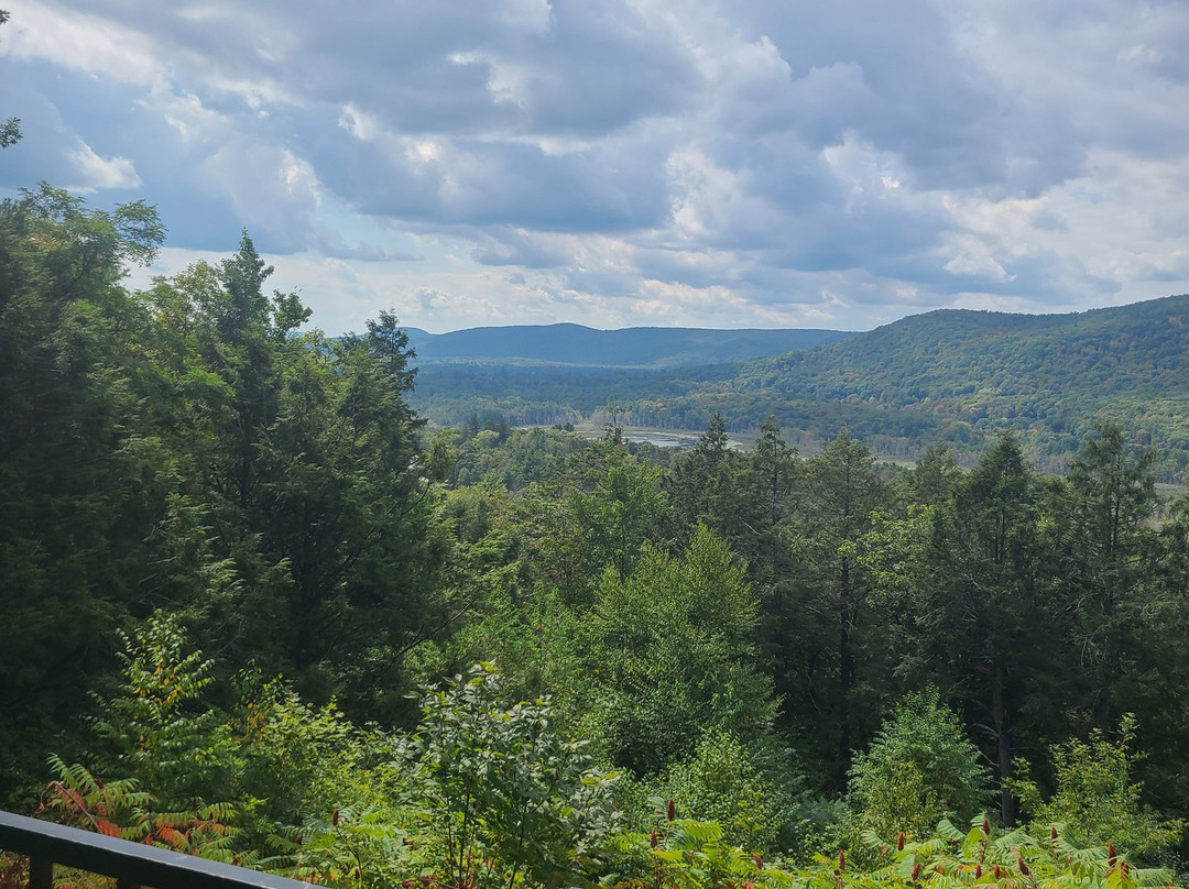 Kennedy Park-莱诺克斯必去景点