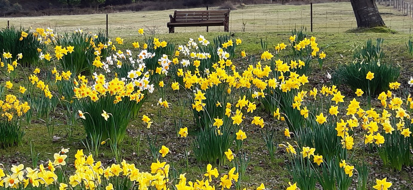 布埃斯德山麦克顿乡村住宿加早餐旅馆-官方