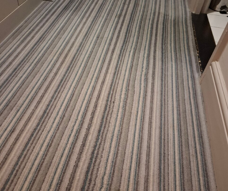 蓟米德尔斯堡酒店主图