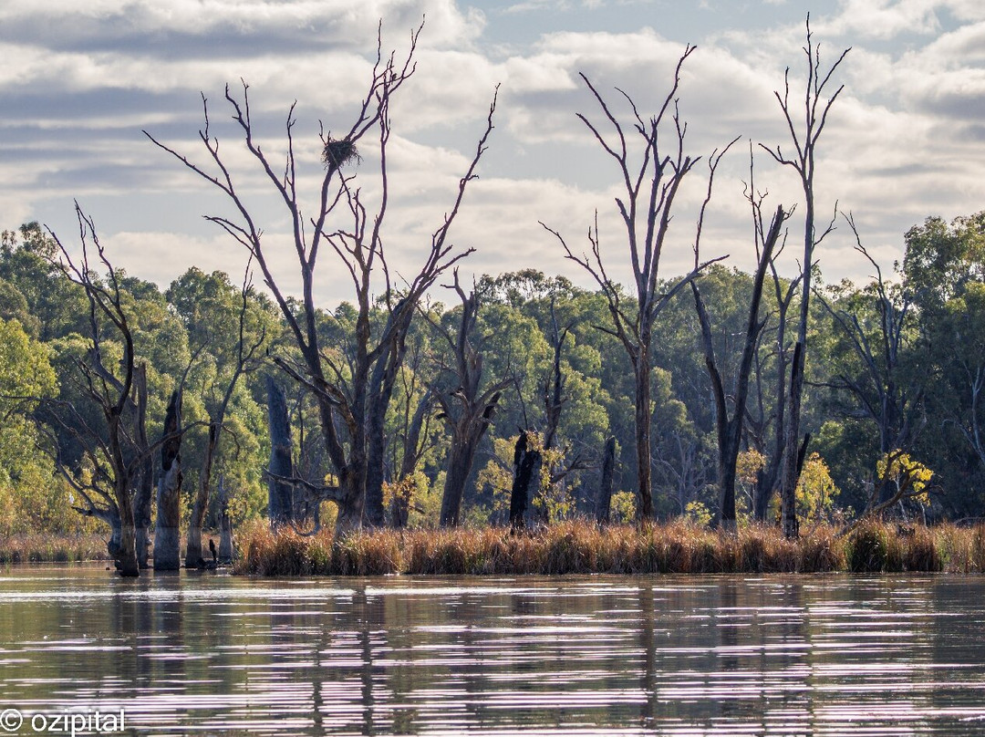 Murray River Trails-Renmark必去景点