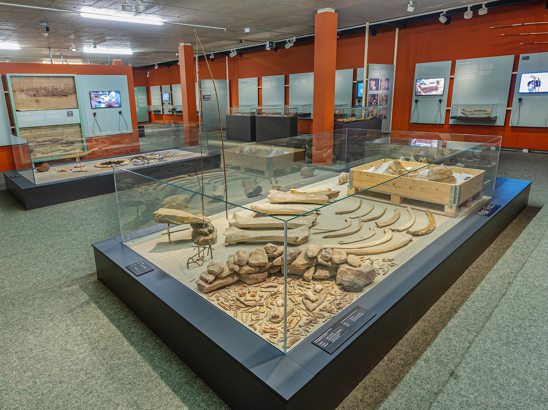 MAMUZ Museum Mistelbach-Mistelbach必去景点
