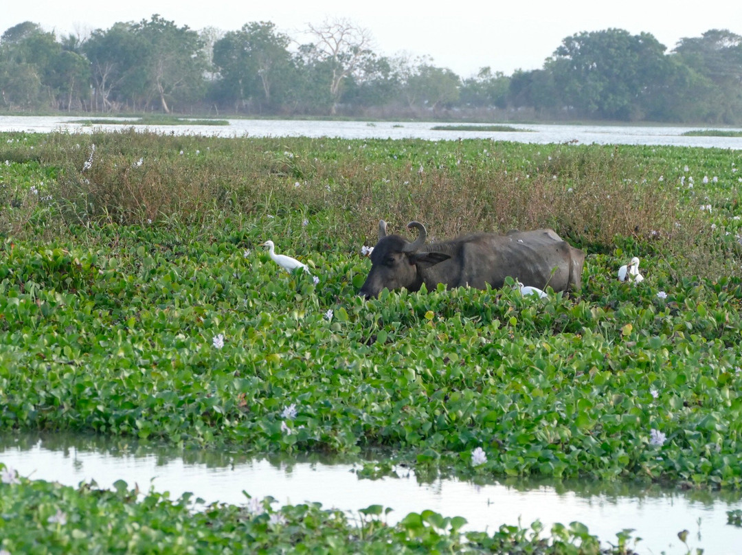 Hotel Peace & Lodge主图