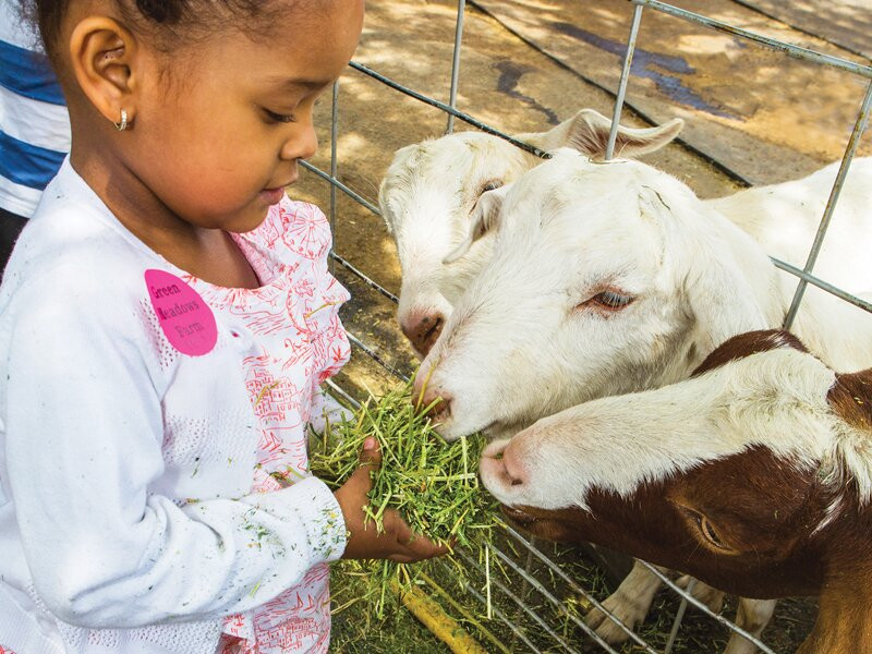 Green Meadows Farm (Queens)-Floral Park必去景点