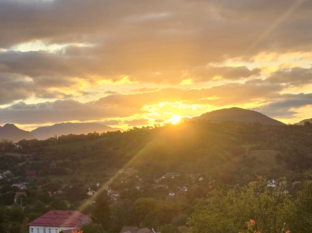 Vila Transylvanian Inn主图