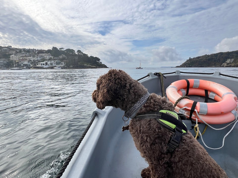 Fowey Boat Hire-福伊必去景点