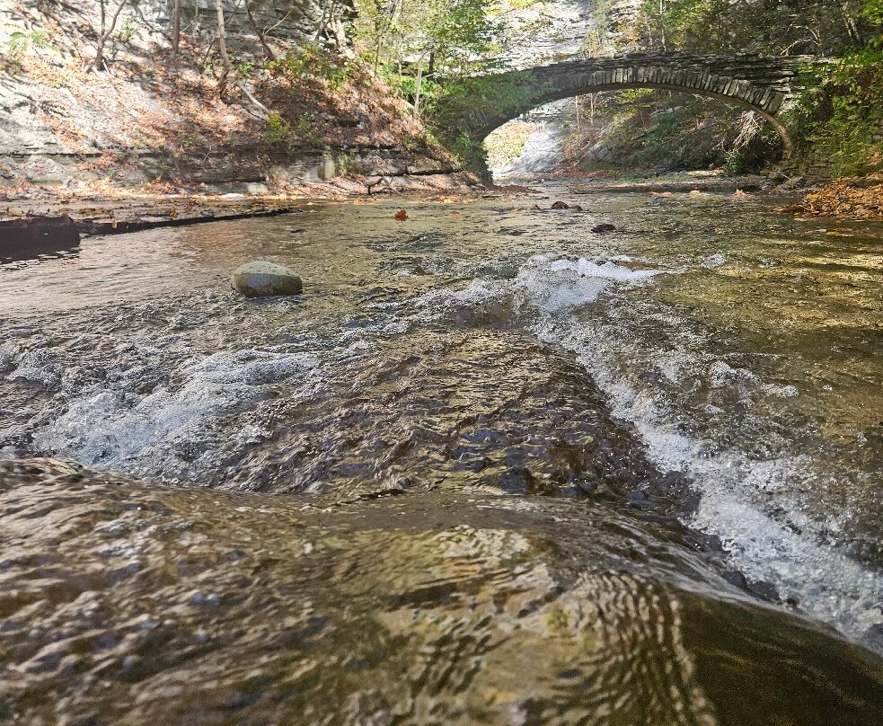 Stony Brook State Park-Dansville必去景点