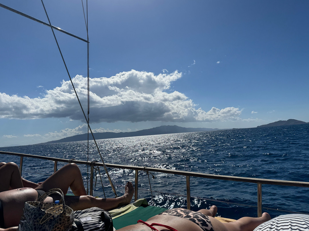 Akbaba Deniz Boat-居姆贝特必去景点