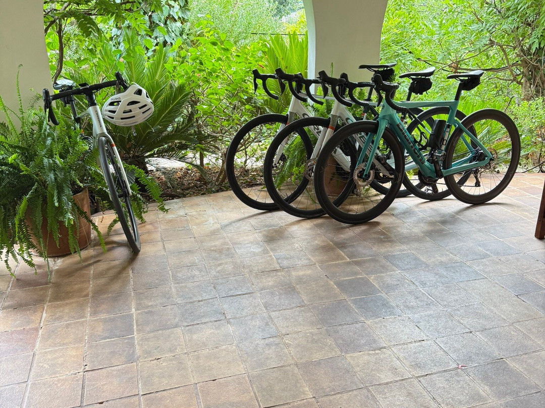 Tramuntana Tours-索列尔港必去景点