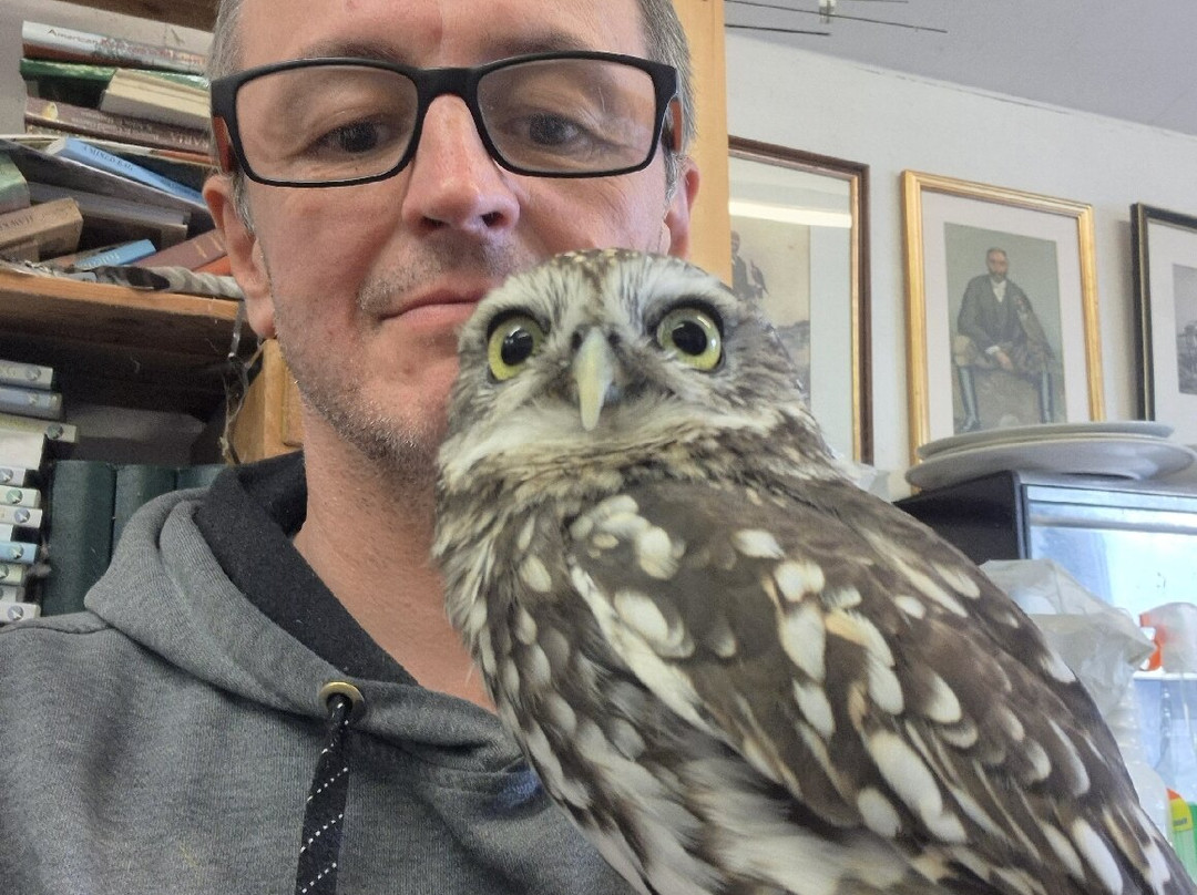 Ben Long Falconry Courses and Experience Days-Quedgeley必去景点