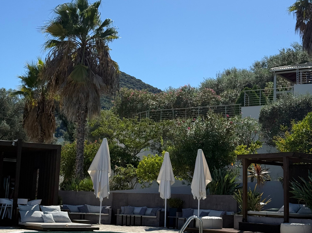 Ionian Eye Studios主图