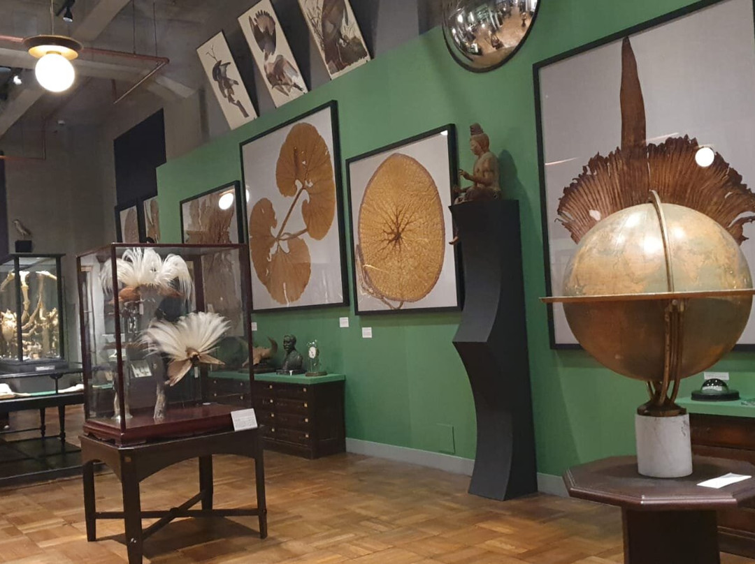 JP Tower Museum Intermediatheque-Marunouchi必去景点
