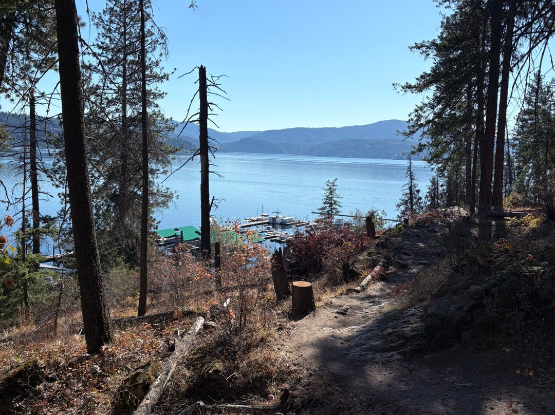 Tubbs Hill Nature Trails-科达伦必去景点