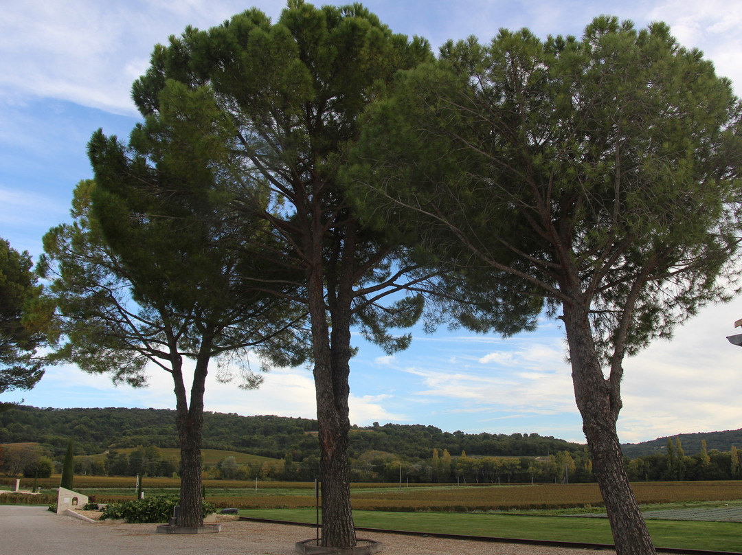 Domaine Des Lauribert