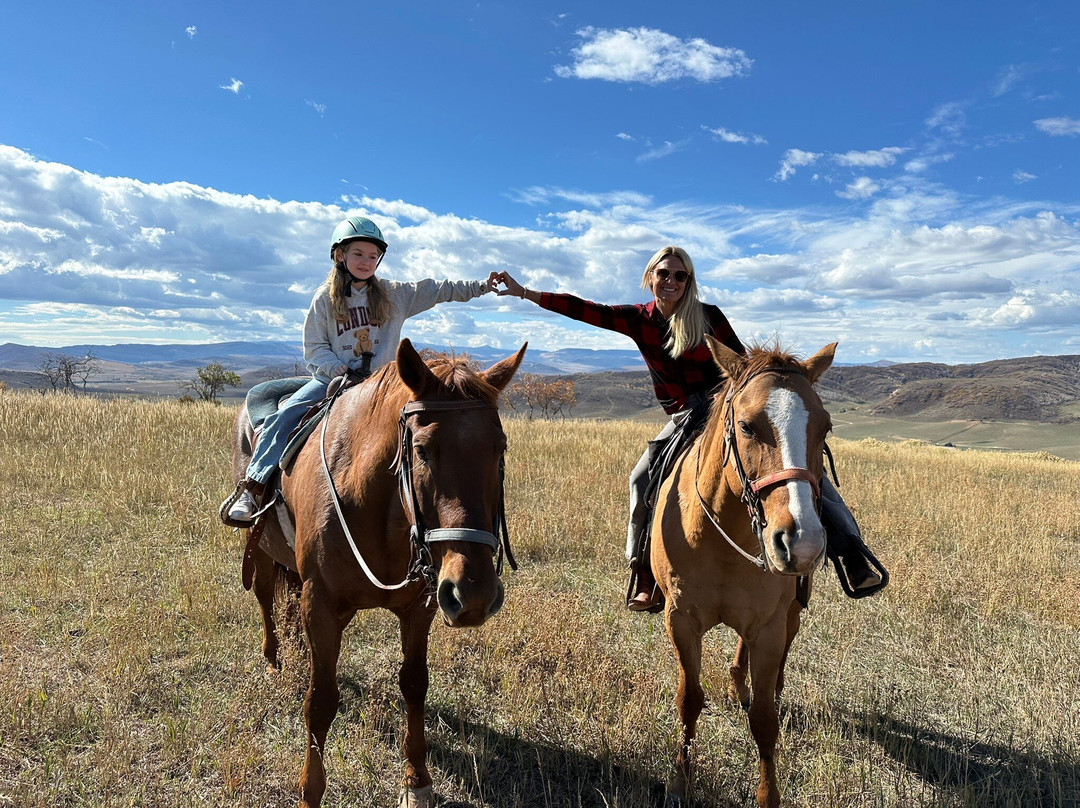 Saddleback Ranch-斯廷博特斯普林斯必去景点