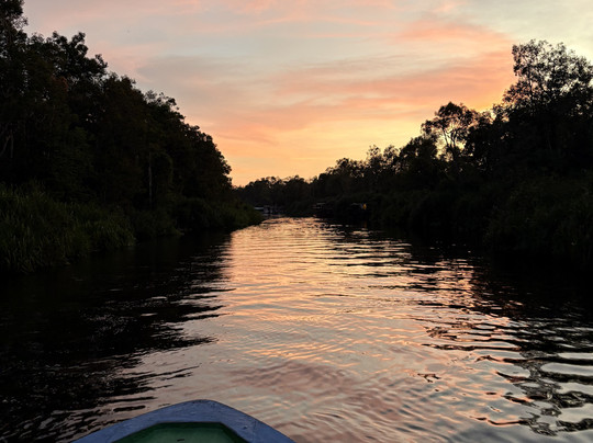 Orangutan Tour Kelotok-Pangkalan Bun必去景点