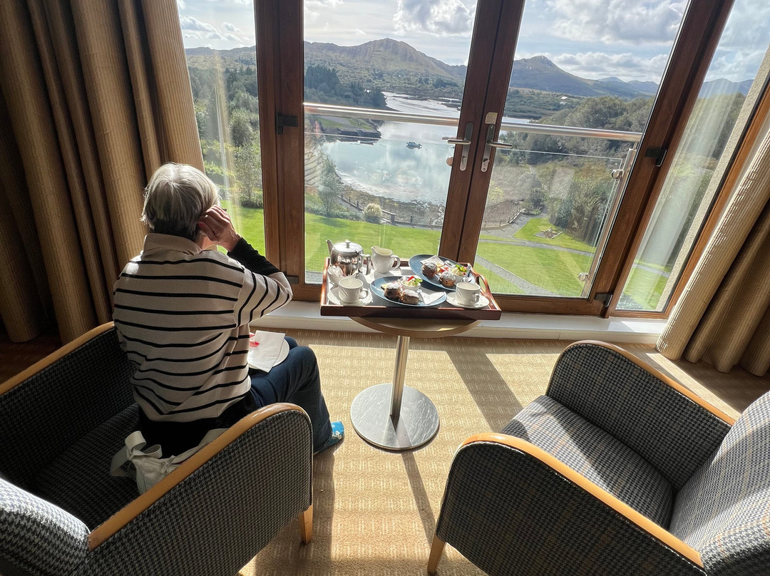 斯尼姆酒店主图