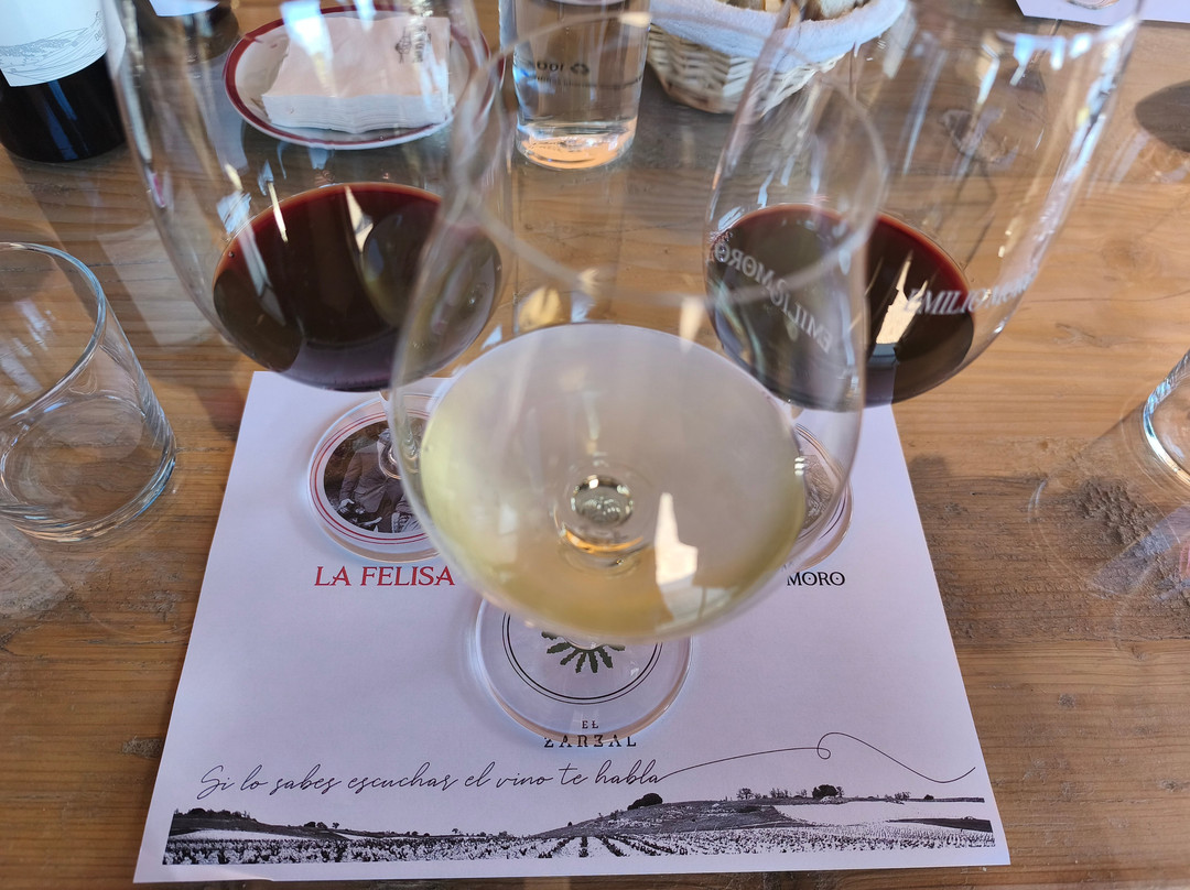 Bodegas Emilio Moro-Pesquera de Duero必去景点