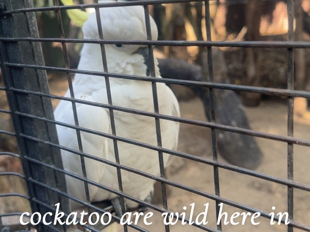 Featherdale Sydney Wildlife Park-Doonside必去景点