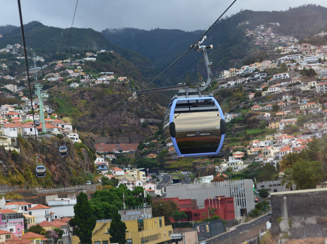 Botanical Garden Cable Car-沙尔必去景点