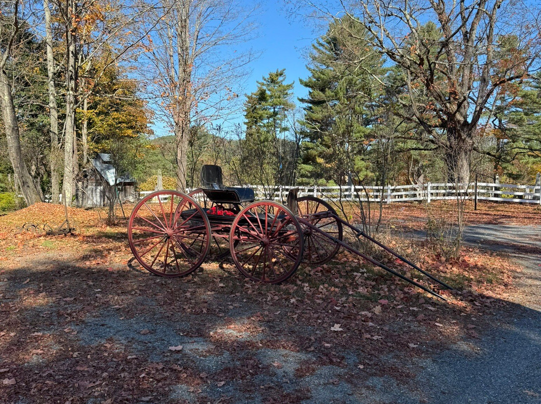 Lyme Historians-Lyme必去景点