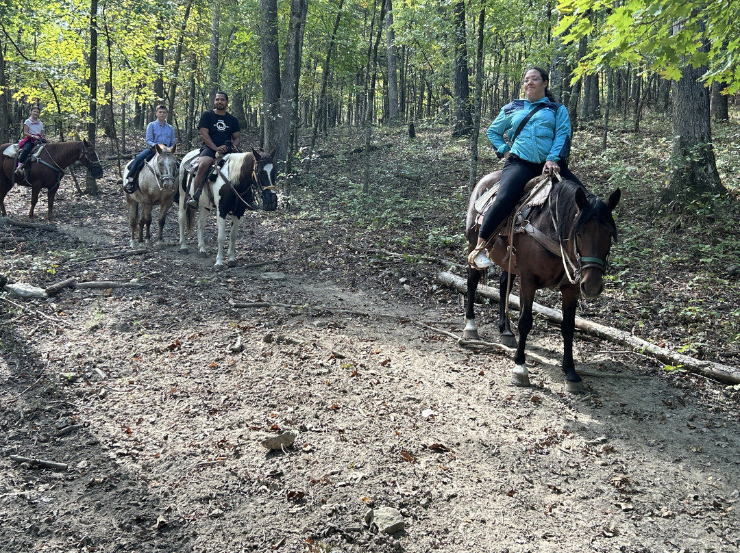 Bear Creek Trail Rides and Stable-Walnut Shade必去景点
