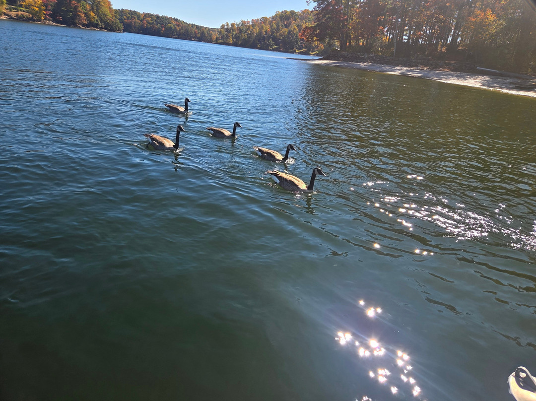 Lake Glenville Scenic Waterfall Cruises-Cashiers必去景点