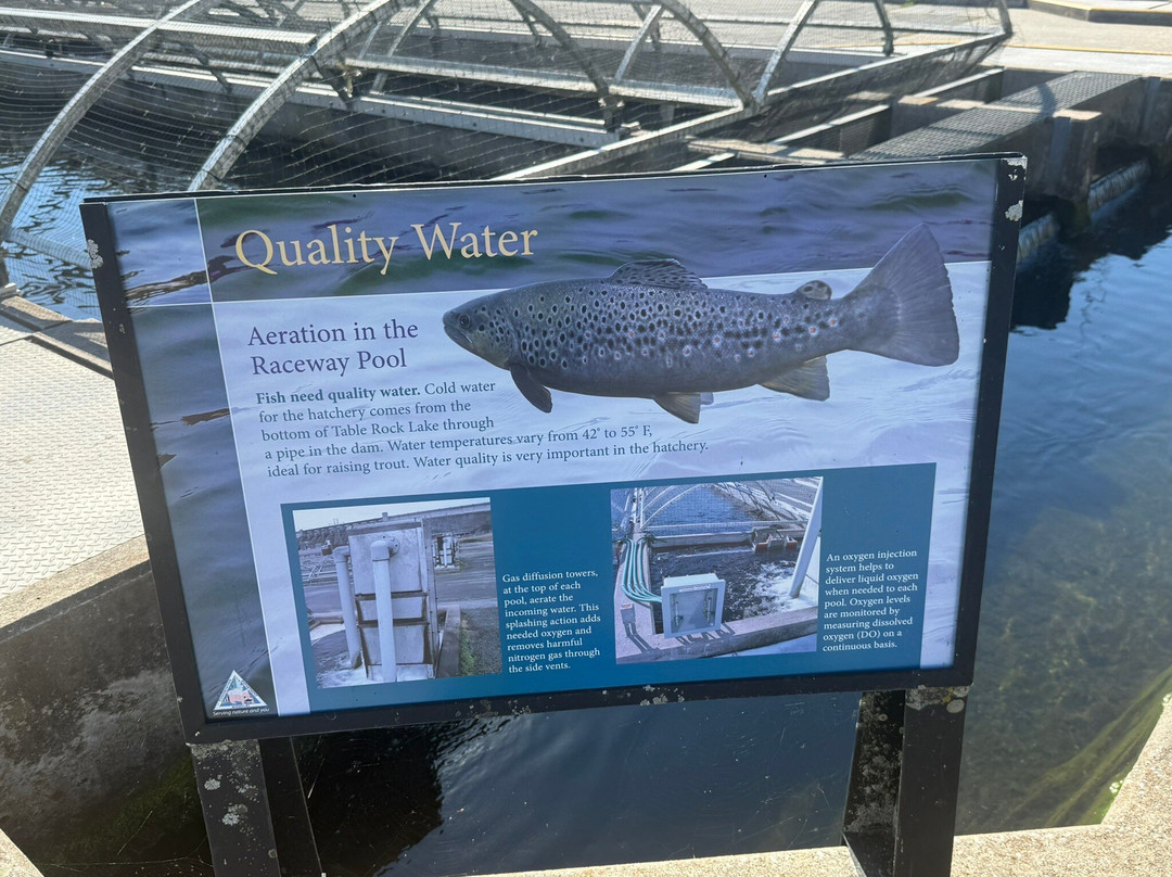 Shepherd of the Hills Fish Hatchery-布兰森必去景点