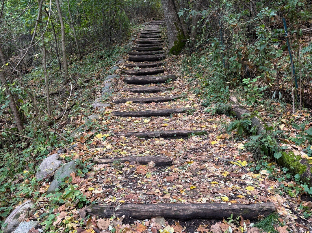 Schlitz Audubon Nature Center-Bayside必去景点