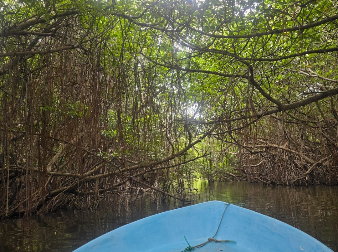 Bentota River-班托塔必去景点