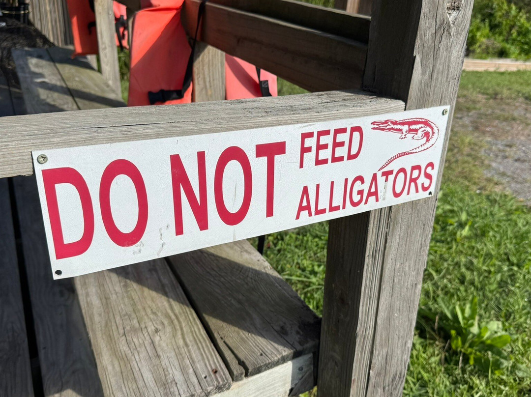 Ragin Cajun Airboat Tours-新奥尔良必去景点