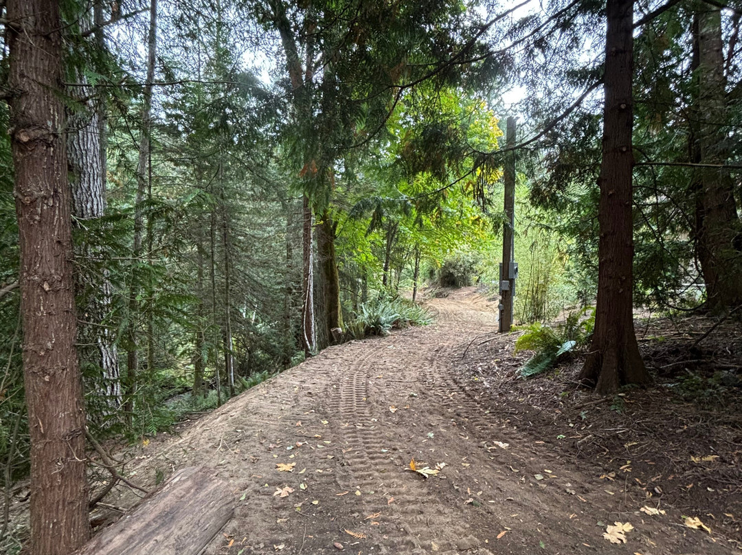 Solace Organic Spa-盐泉岛必去景点