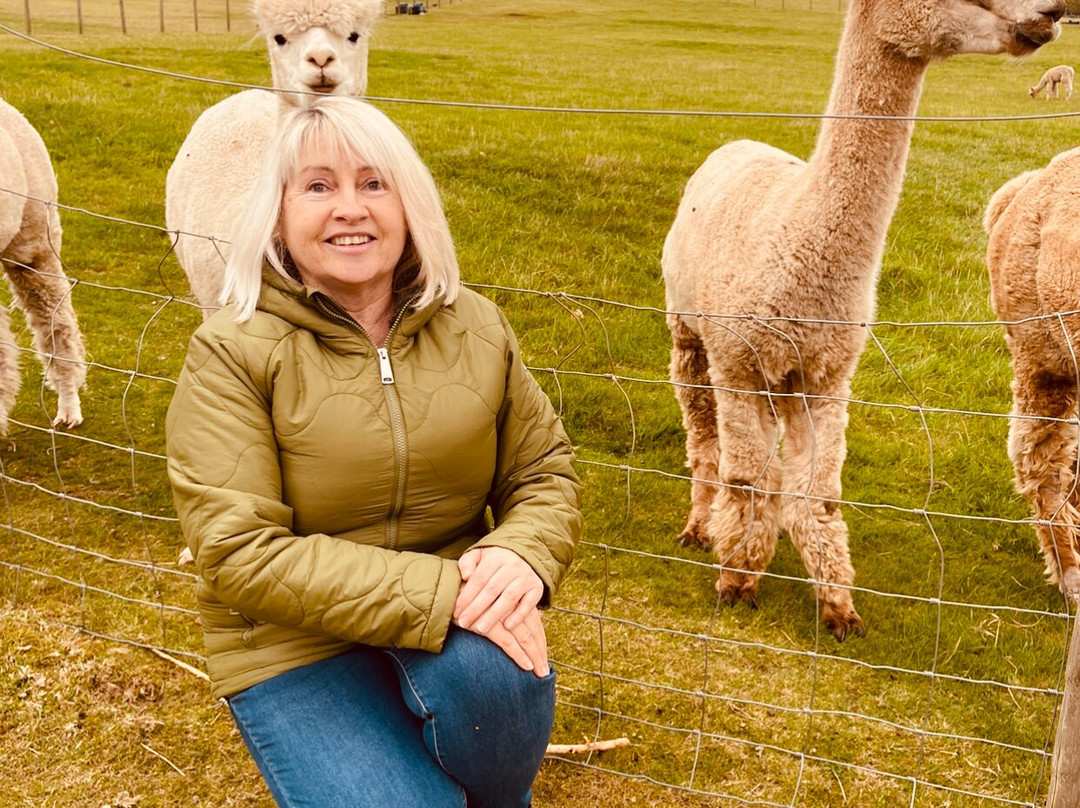 BobCat Alpacas-爱丁堡必去景点