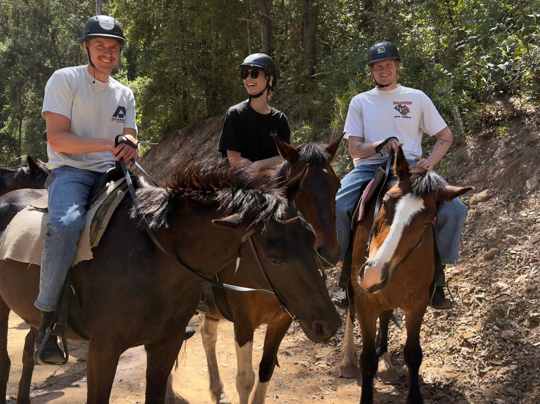 骏域谷-Glenworth Valley必去景点