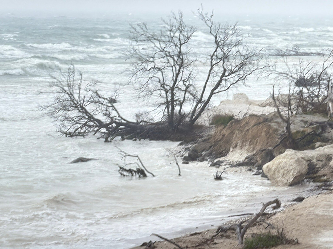 Geo Center Mons Klint-Borre必去景点