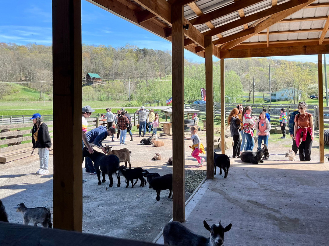 Fox's High Rock Farm-洛根必去景点