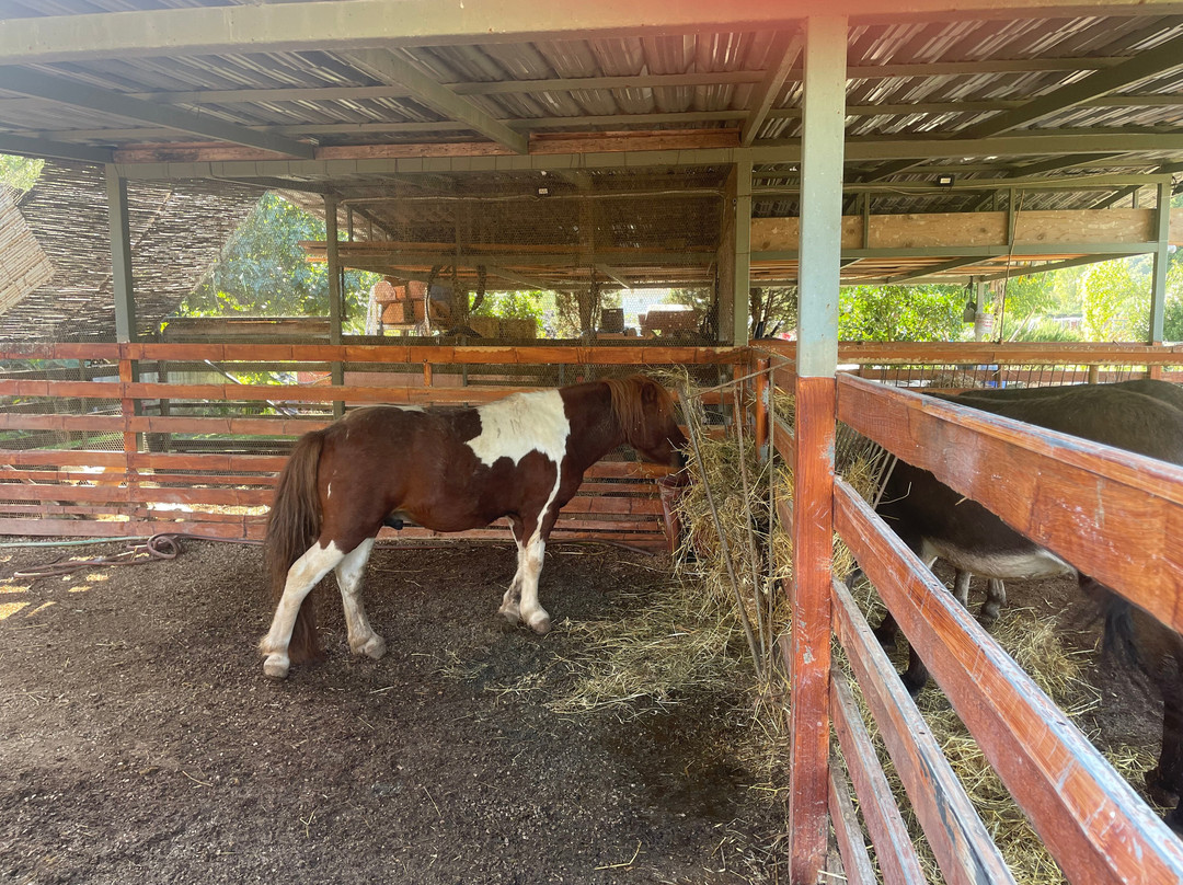 Therianos Family Farm-Kallithea必去景点