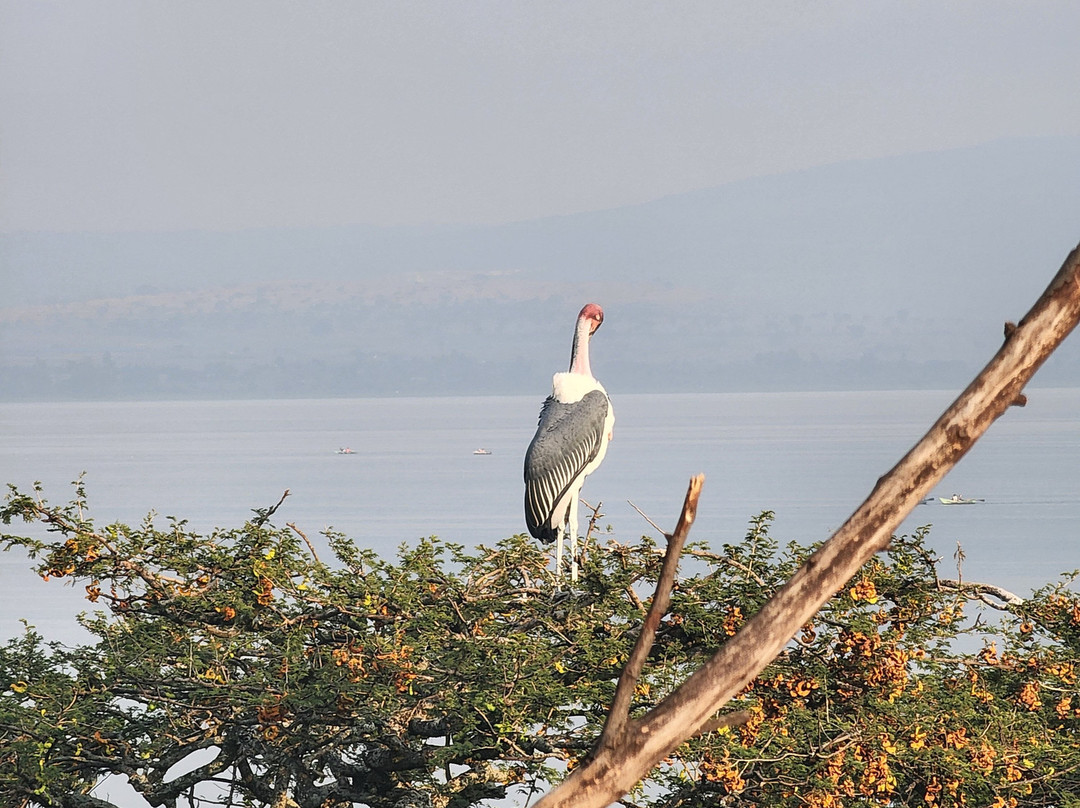 Hawassa Lake View Hotel主图
