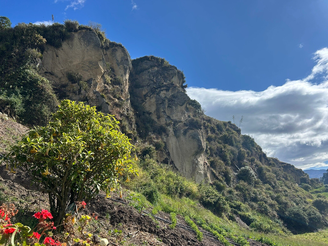 Cara del Inca-Ingapirca必去景点