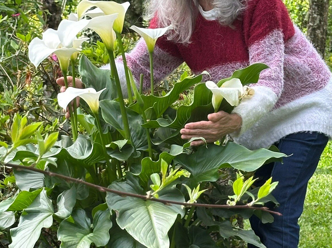 Jardim Secreto Ville de France-Urubici必去景点