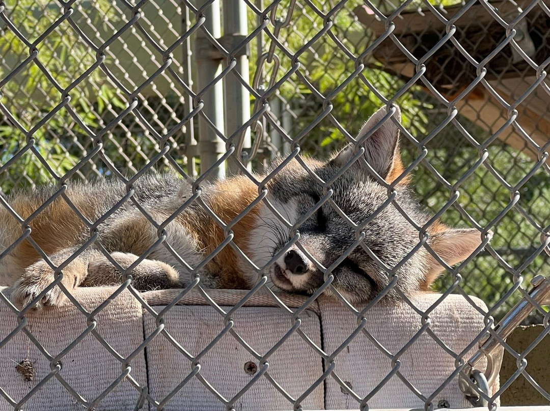 Southwest Wildlife Conservation Center-斯科茨代尔必去景点