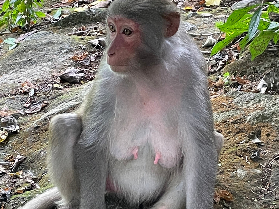 Hai Van Pass Riders-顺化必去景点